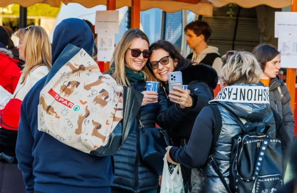 Prve istrske lučke že gorijo: Piran je letos "prehitel" Koper (GALERIJA)