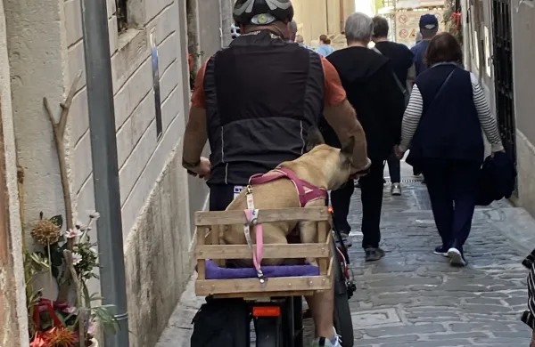 Piran v ritmu solinarskega praznika (GALERIJA)