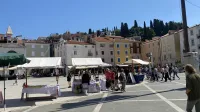 Piran v ritmu solinarskega praznika (GALERIJA)