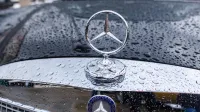 "Koliko pije starodobnik? Manj kot lastnik"