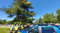 Začeli so se Bogatajevi dnevi (FOTO, VIDEO)