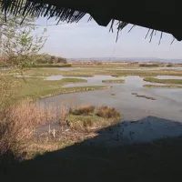Pogled na naravni rezervat