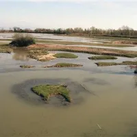 Naravni rezervat Isola della Cona se razteza na površini 2350 hektarov.