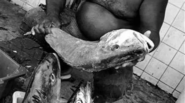 Ribič  iz Ria Vermelha