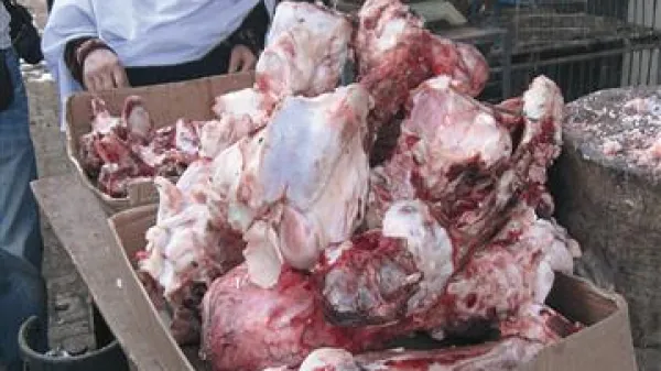 Begunci si zaradi revščine lahko privoščijo le kosti, iz katerih pripravljajo juho