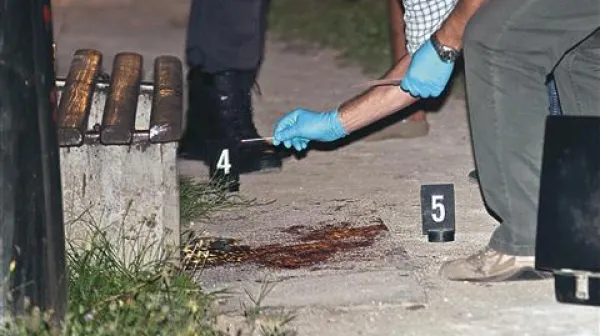 Tožilstvo napadalcu iz novogoriškega parka očita štiri poskuse uboja