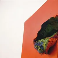 Na razstavi  A. Abstr_Action je predstavljeno tudi delo Leslie Wayne 