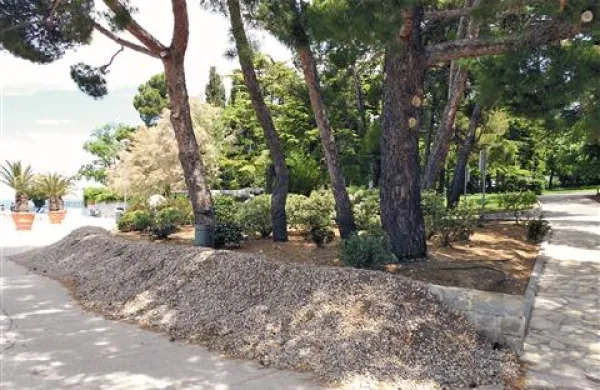 V parku pri Svetilniku bodo obnovili namakalni sistem in zasadili manjkajoče rastline