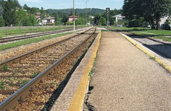 Mimoidoči so bili zaradi nemarnosti, ki se je pripetila ob že tako tragičnem dogodku, zgroženi