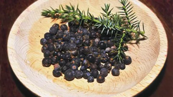 Brin je dobrodošel v kuhinji kot začimba, a tudi kot razkuževalec