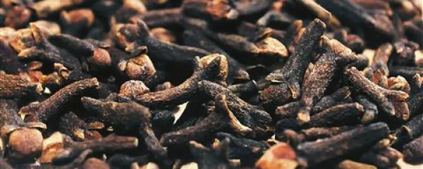 Klinčki izhajajo iz Indonezije in so v Evropi dolgo veljali za izjemno dragoceno dišavo