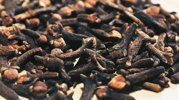 Klinčki izhajajo iz Indonezije in so v Evropi dolgo veljali za izjemno dragoceno dišavo