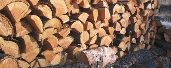 Polena so najbolj tradicionalen in danes vse bolj priljubljen energent