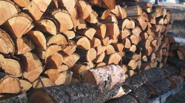 Polena so najbolj tradicionalen in danes vse bolj priljubljen energent