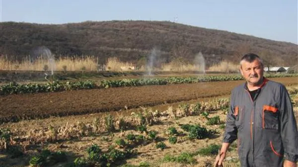 Narava nas sili, da se vrnemo k njej, ji prisluhnemo in se začnemo od nje učiti
