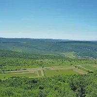 Odtenki zelene, kamor seže oko. V dolini je cesta Podpeč-Zazid, za njo pa Hrastovlje  