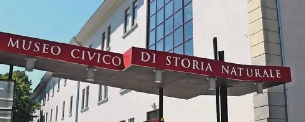 Vhod v muzej na ulici Tominz