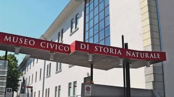 Vhod v muzej na ulici Tominz