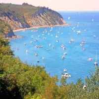 Ob lepih dnevih se na morju pri Belih skalah pozibava po več deset bark, njihova sidra pa poškodujejo morsko dno 