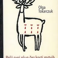 Misija zaljubljanje