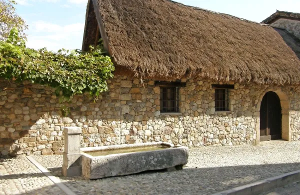 S poezijo in vitezi med jabolki