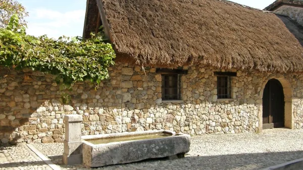 S poezijo in vitezi med jabolki