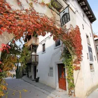 Kot primer dobre prakse pri obnovi briške arhitekture so študentje navedli Dvor v Kozani, sklop obnovljenih hiš, ki sta jih v garni hotel arhitekturno preoblikovala  Dimitij Žagar in Zdenka Truden. 