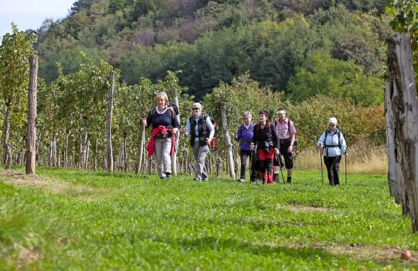 Zavod za turizem, kulturo, mladino in šport Brda pripravlja 
konec maja poseben dogodek.