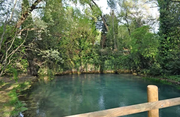 Slikovit izvir Timave v Štivanu je obdan z bogatim rastjem.