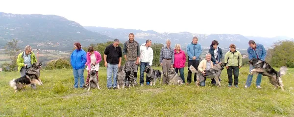 Kraški ovčar - bogastvo, ki ga je treba negovati