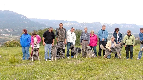 Kraški ovčar - bogastvo, ki ga je treba negovati