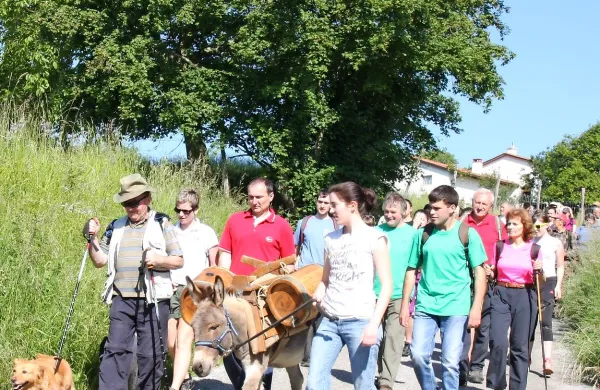 S Sivkom na &Scaron;kolj in Tibot