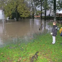 Na Goriškem obilne padavine, voda zalila  nekaj hiš (foto in video)