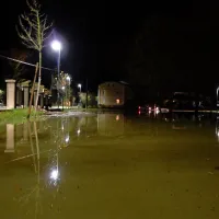Bilje
