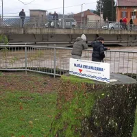 Na Goriškem obilne padavine, voda zalila  nekaj hiš (foto in video)