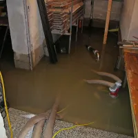 Na Goriškem obilne padavine, voda zalila  nekaj hiš (foto in video)