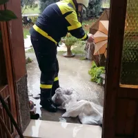 Na Goriškem obilne padavine, voda zalila  nekaj hiš (foto in video)