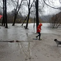 Na Goriškem obilne padavine, voda zalila  nekaj hiš (foto in video)