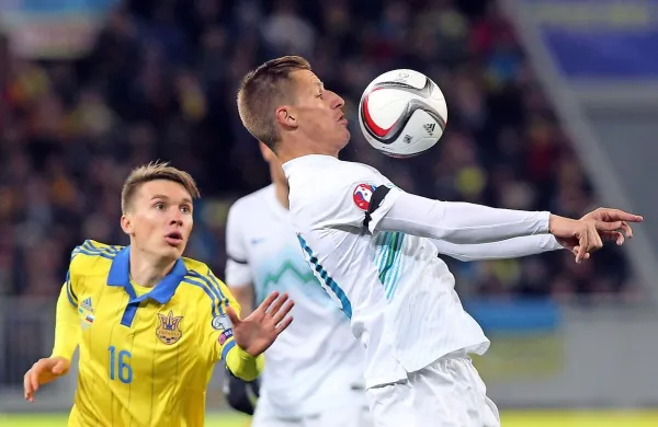 Valter Birsa