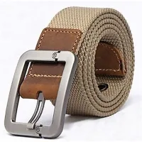 En pas, dva materiala: usnje in 
blago