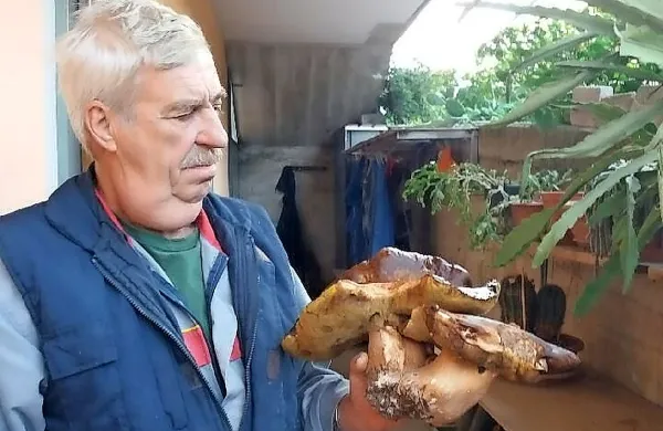 Jurček dvojček