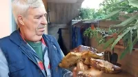 Jurček dvojček