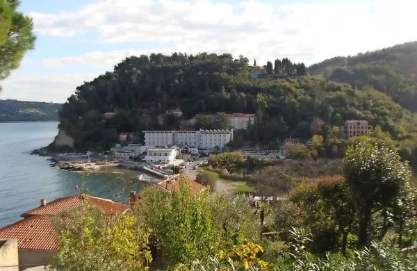 Nova cesta se vije v gozdu nad hotelom Barbara  do parcele 
na klifu, kjer je dovoljena turistična gradnja.   