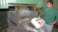 V kleti  biotehniške šole v Šempetru ni bilo med prazniki nič 
drugače kot v drugih torklah, le količine predelanih oljk so 
sorazmerno manjše.     