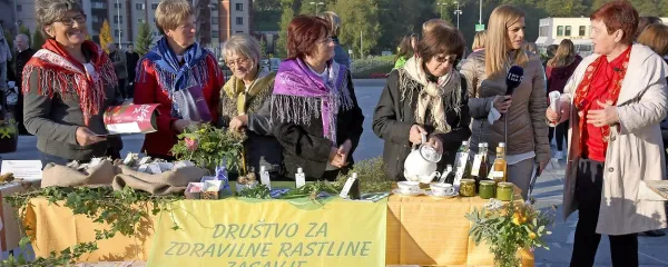 Zasavske zeliščarke z Marijo Merljak (desno). ivan 
merljak