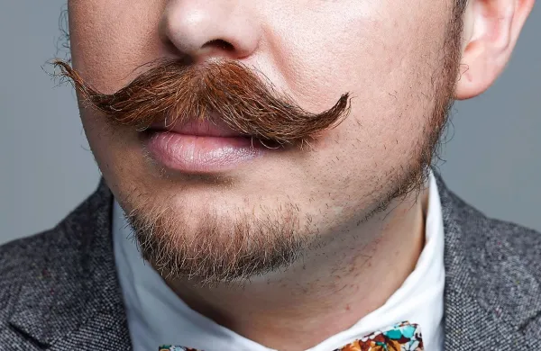 Brki, zaščitni znak meseca in gibanja Movember za ozaveščanje moških o raku na prostati.