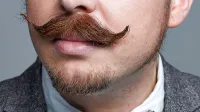 Brki, zaščitni znak meseca in gibanja Movember za ozaveščanje moških o raku na prostati.