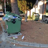 Zaradi takšnih prizorov bi lahko komunalna podjetja uvedla 
tudi inšpektorje za smeti.