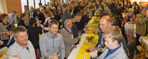 Danes goduje Martin, ki iz mošta dela vin'