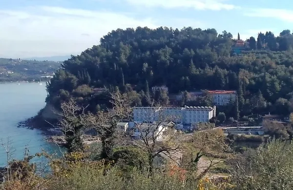 Investitor si je v gozdu nad hotelom Barbara skopal cesto do 
parcele, kjer ne more zgraditi hiše. 
